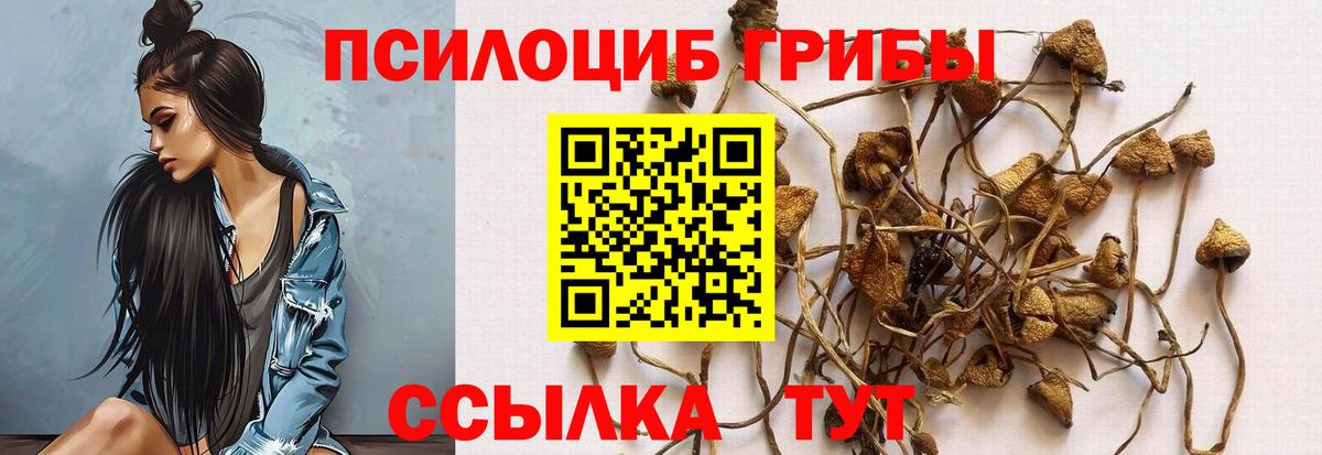 Галлюциногенные грибы Cubensis  Псилоцибиновые грибы ЛСД  Чита  Вход с VPN 
